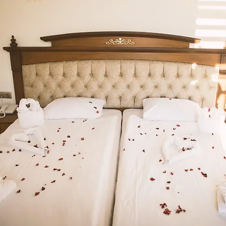 Thrace Hotel&spa Hotel *